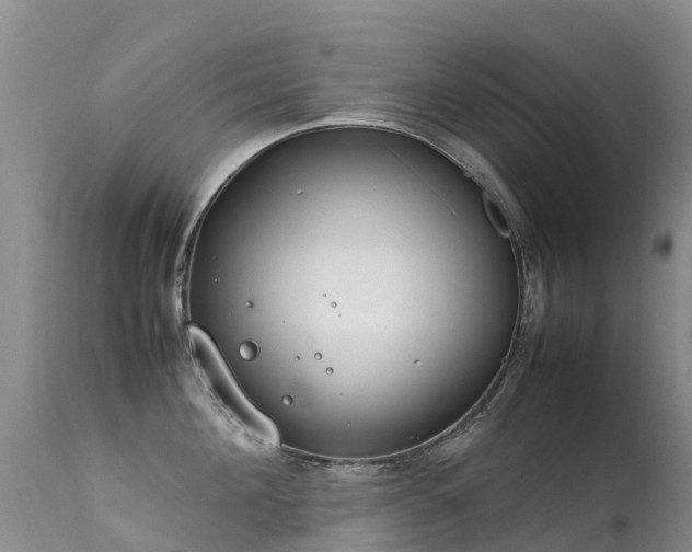 X0000112210908200908141455