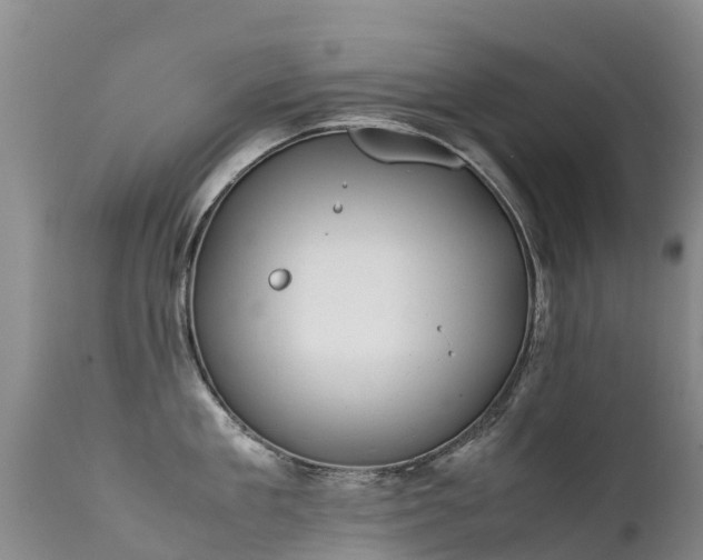 X0000112210909200908141455