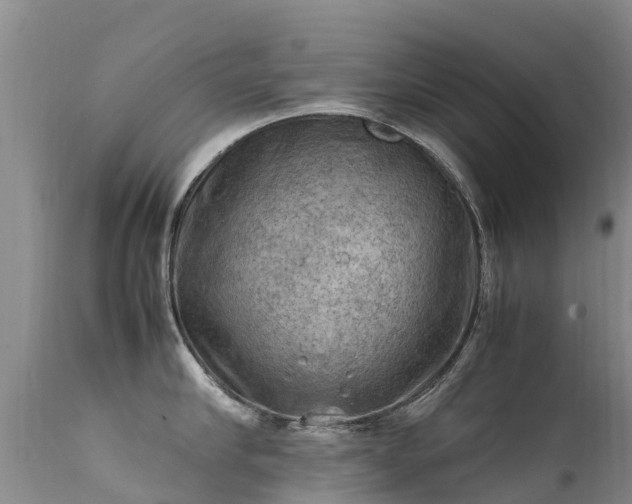 X0000112210910200908141455