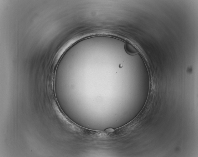 X0000112210911200908141455