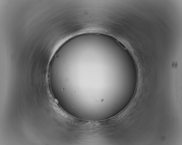 X0000112210912200908141455