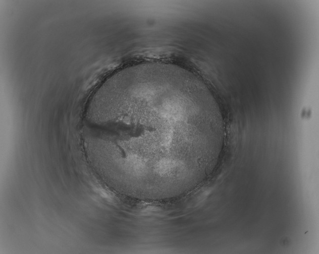 X0000112210913200908141454