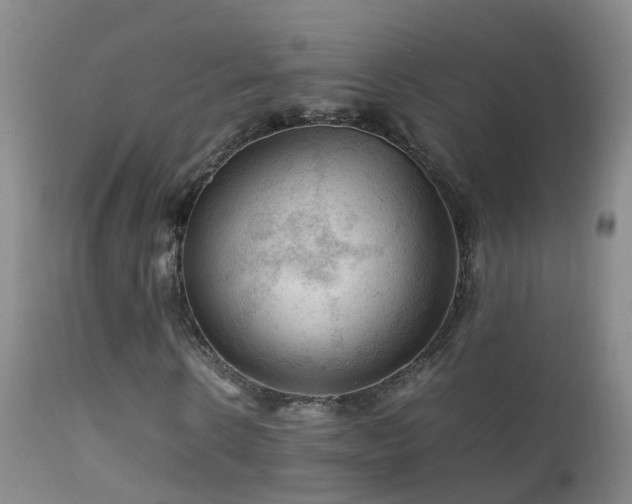 X0000112210914200908141454