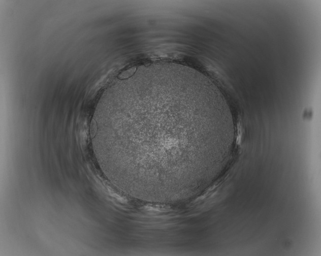 X0000112210915200908141454