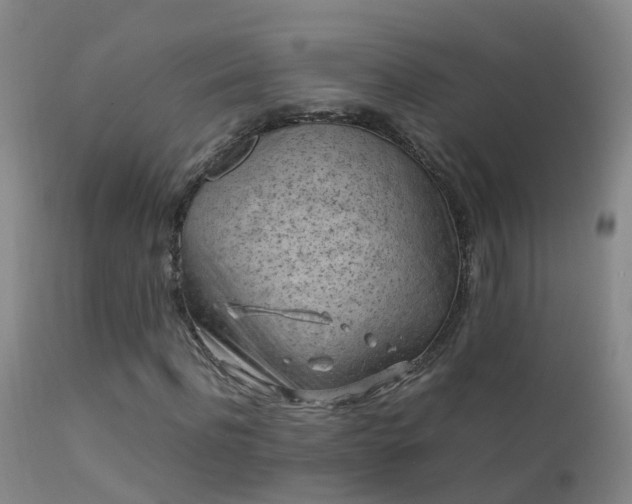 X0000112210916200908141454