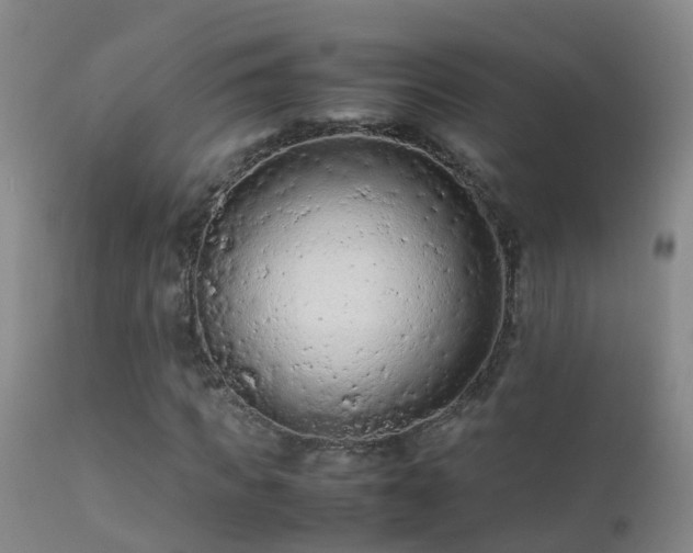 X0000112210917200908141454