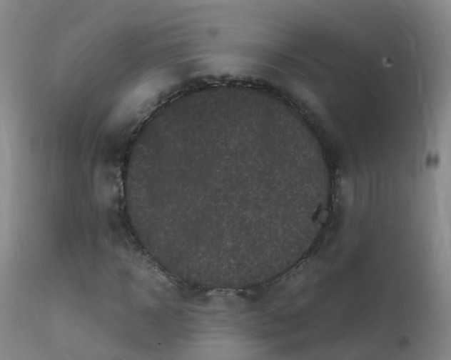 X0000112210918200908141454