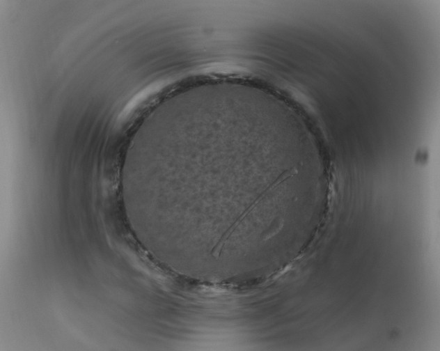 X0000112210920200908141454