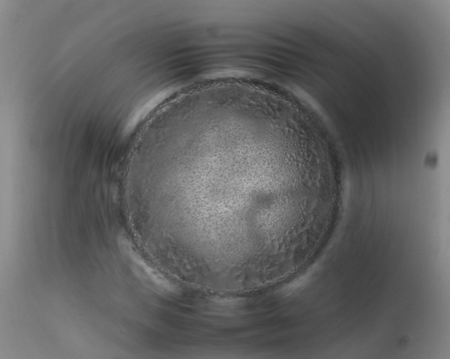 X0000112210921200908141454