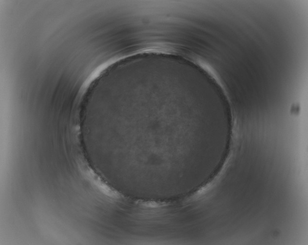 X0000112210923200908141454