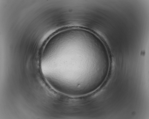 X0000112210925200908141454