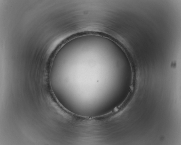 X0000112210926200908141454