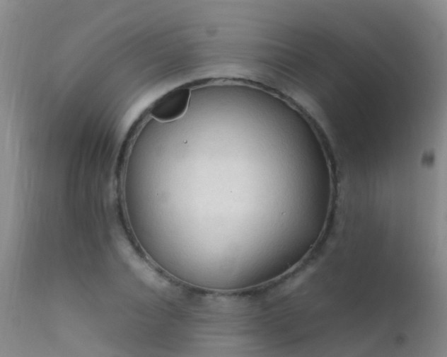 X0000112210928200908141454