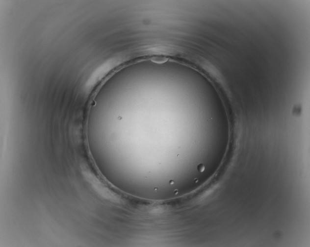 X0000112210930200908141454