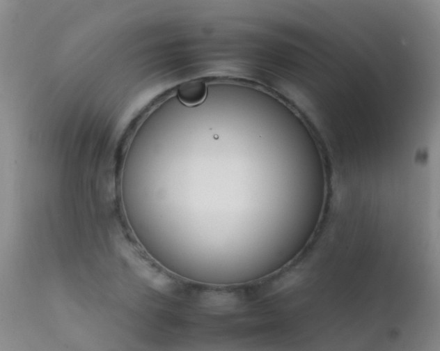 X0000112210931200908141454