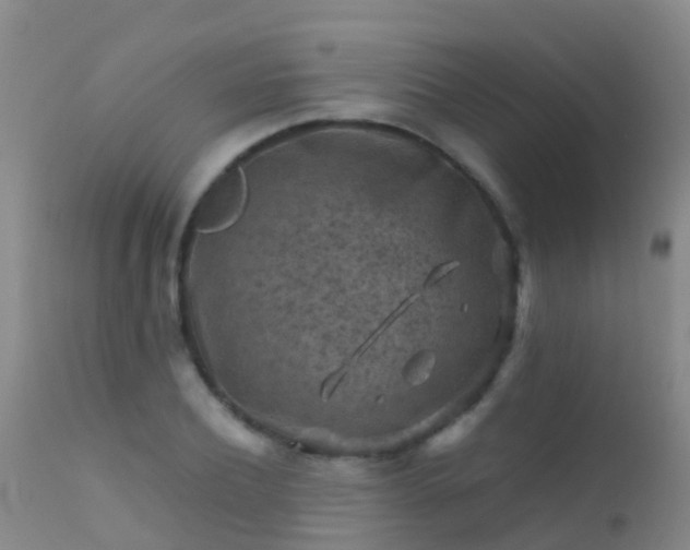 X0000112210932200908141454