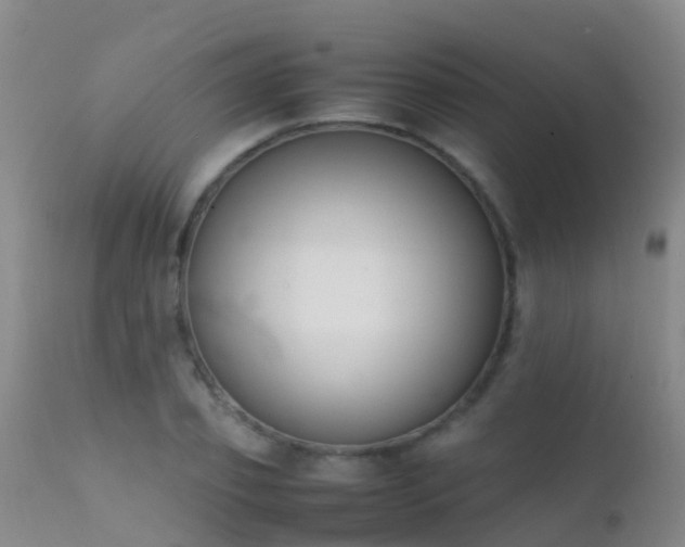 X0000112210933200908141454