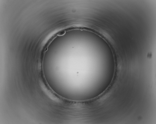 X0000112210934200908141454