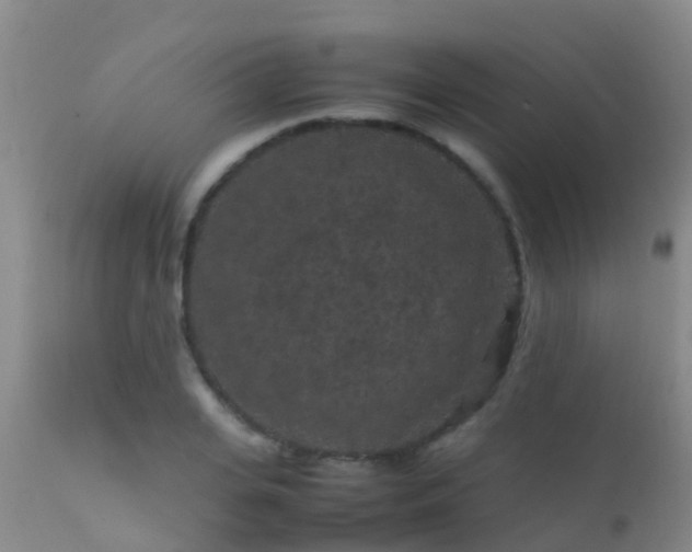 X0000112210935200908141454