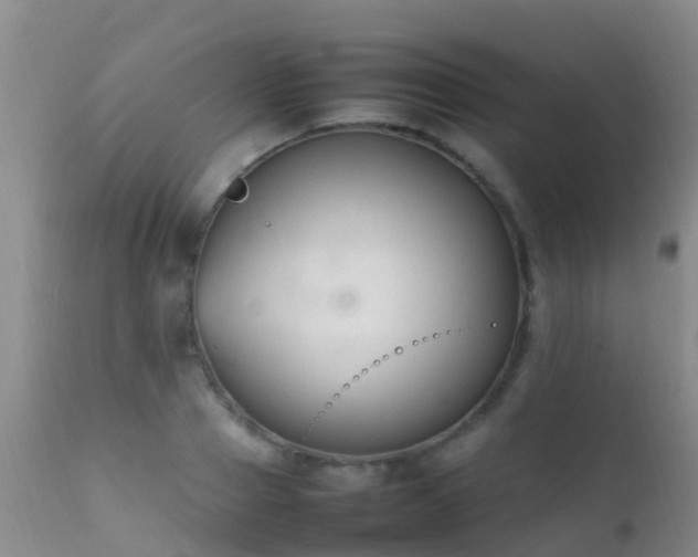 X0000112210937200908141454