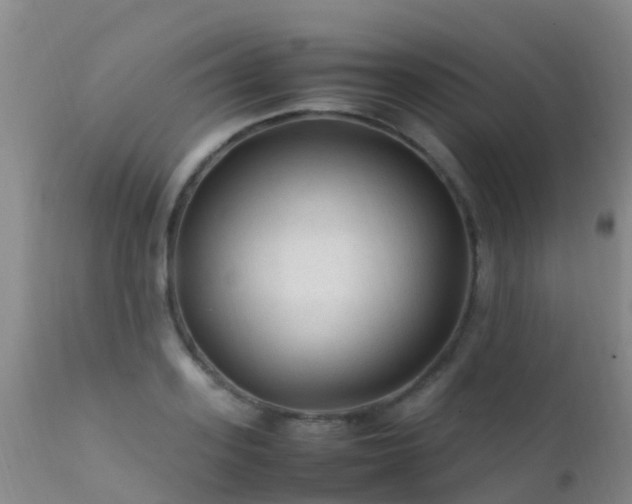 X0000112210939200908141454