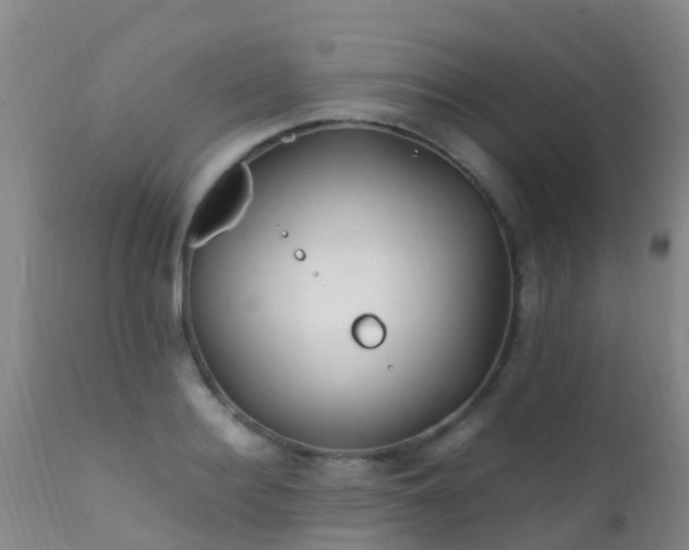 X0000112210940200908141454