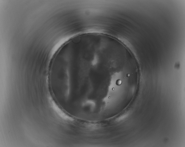 X0000112210941200908141454