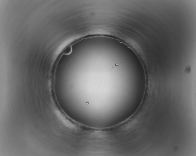 X0000112210942200908141454