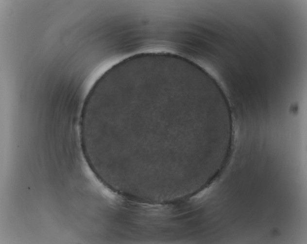 X0000112210943200908141454