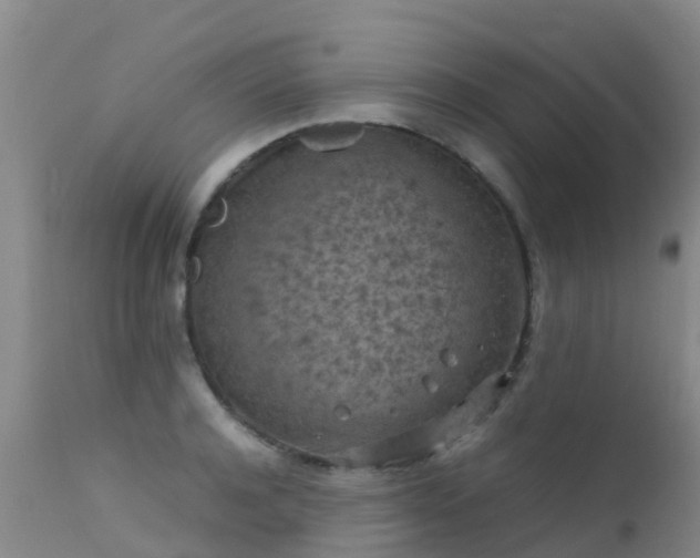 X0000112210944200908141454