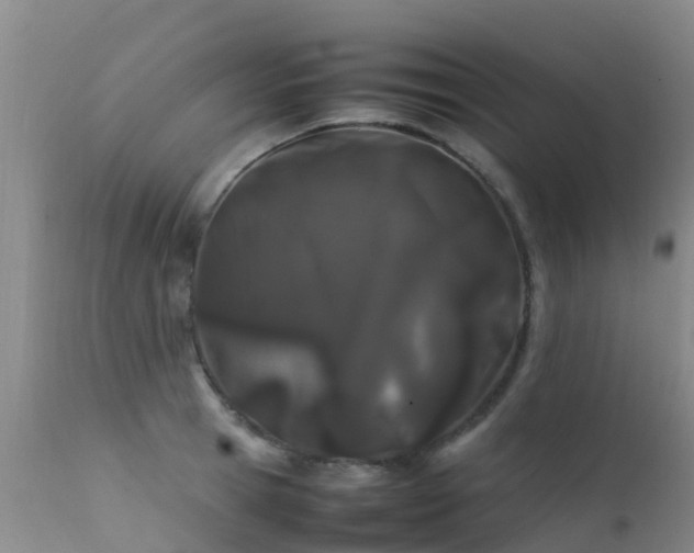 X0000112210945200908141454