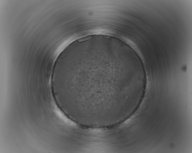 X0000112210946200908141454