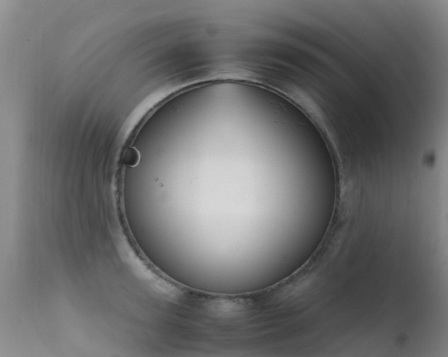 X0000112210947200908141454