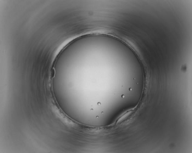 X0000112210948200908141454