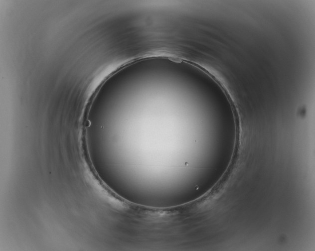 X0000112210949200908141454