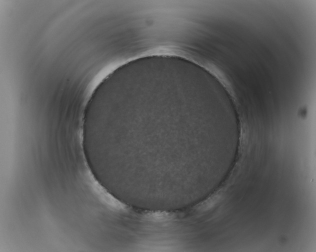 X0000112210950200908141454