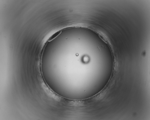 X0000112210952200908141455