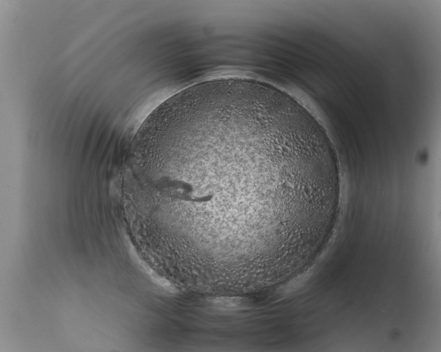 X0000112210953200908141455