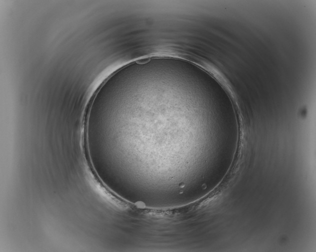 X0000112210955200908141455