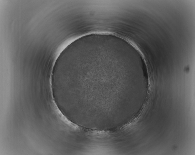 X0000112210959200908141455