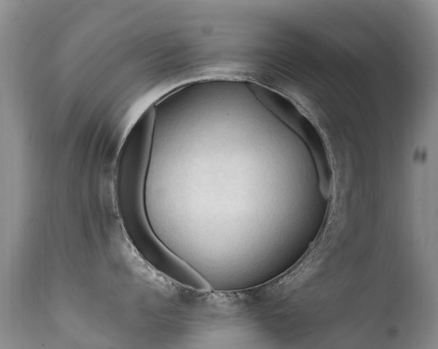 X0000112210960200908141455