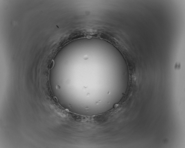 X0000112210961200908141454