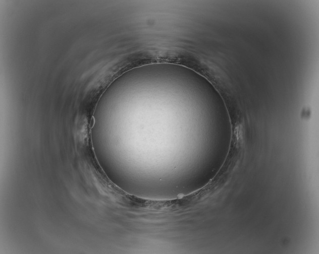 X0000112210963200908141454