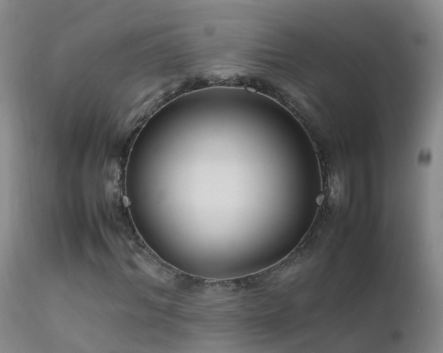 X0000112210964200908141454