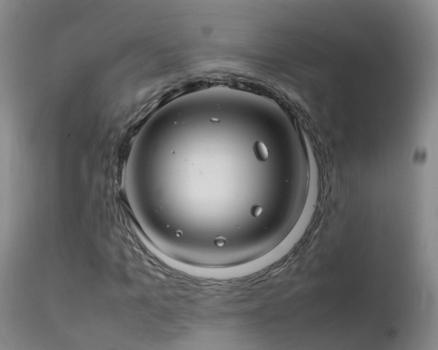 X0000112210965200908141454