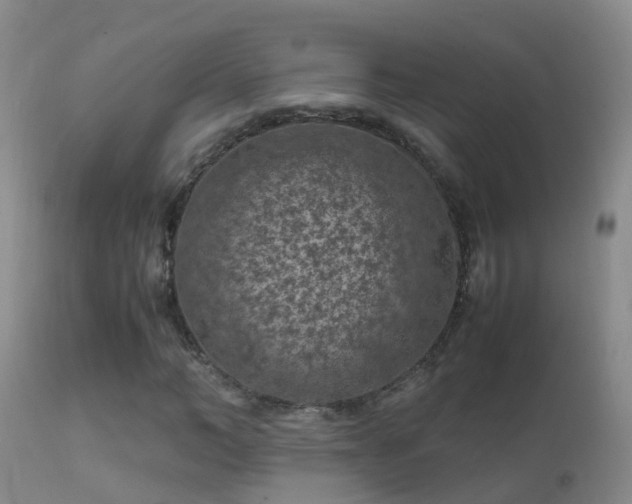 X0000112210966200908141454