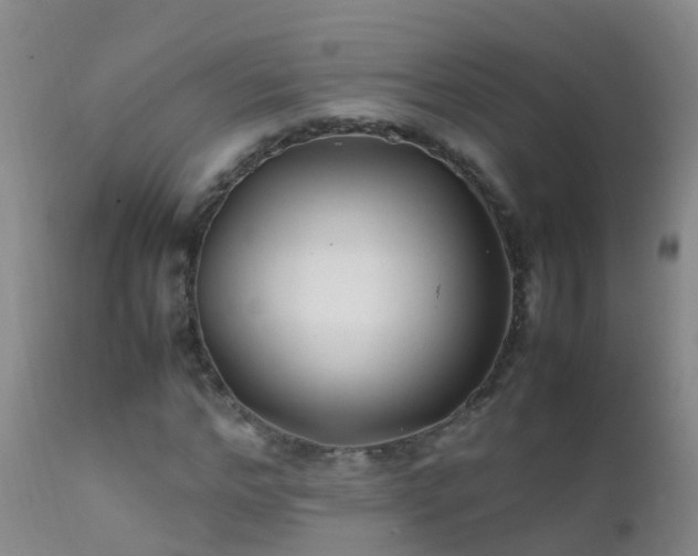 X0000112210968200908141454