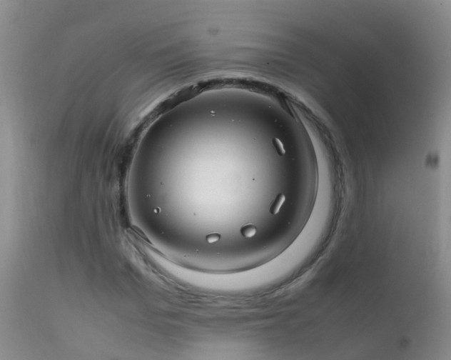 X0000112210969200908141454