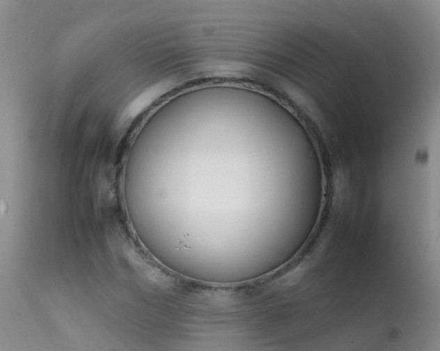 X0000112210970200908141454