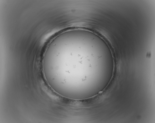 X0000112210971200908141454